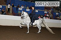 09r12-00809 proof