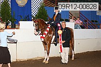 09r12-00828 proof