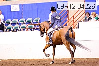 09r12-04226 proof