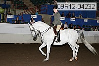 09r12-04232 proof