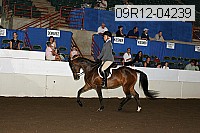 09r12-04239 proof