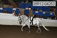 09r12-04253 proof