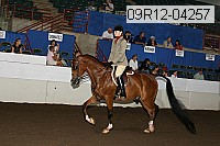 09r12-04257 proof