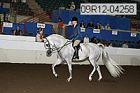 09r12-04258 proof