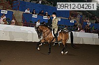 09r12-04261 proof