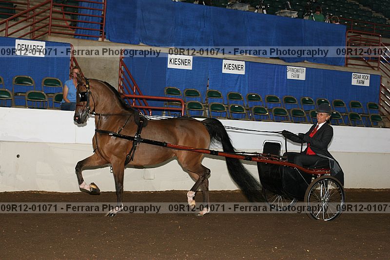 Proof 09r12-01071