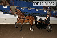09r12-01072 proof