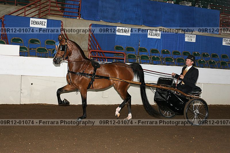 Proof 09r12-01074