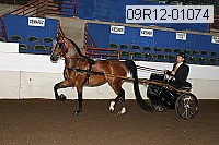 09r12-01074 proof