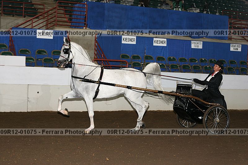 Proof 09r12-01075