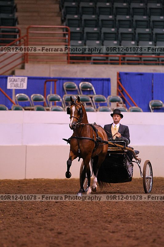 Proof 09r12-01078