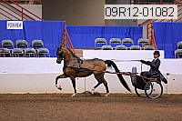 09r12-01082 proof