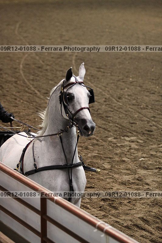 Proof 09r12-01088