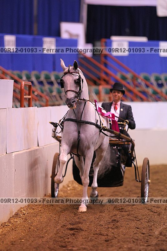 Proof 09r12-01093
