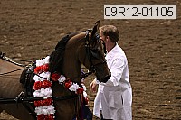 09r12-01105 proof