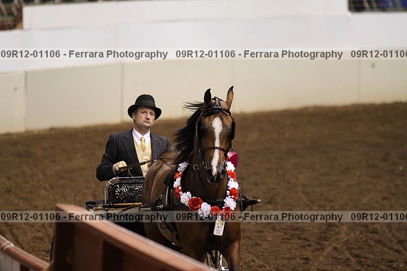 Proof 09r12-01106