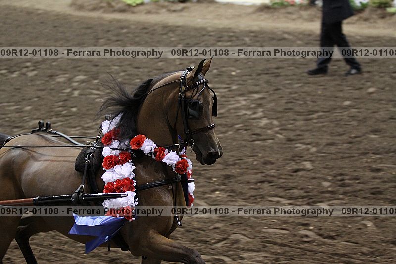 Proof 09r12-01108