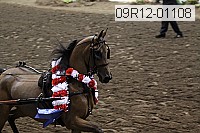 09r12-01108 proof