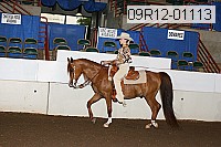 09r12-01113 proof