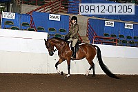 09r12-01205 proof