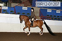 09r12-01207 proof
