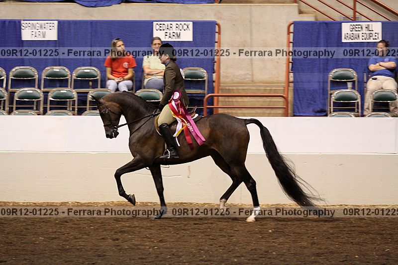 Proof 09r12-01225