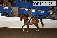 09r12-01281 proof