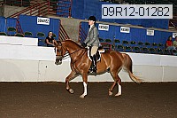 09r12-01282 proof