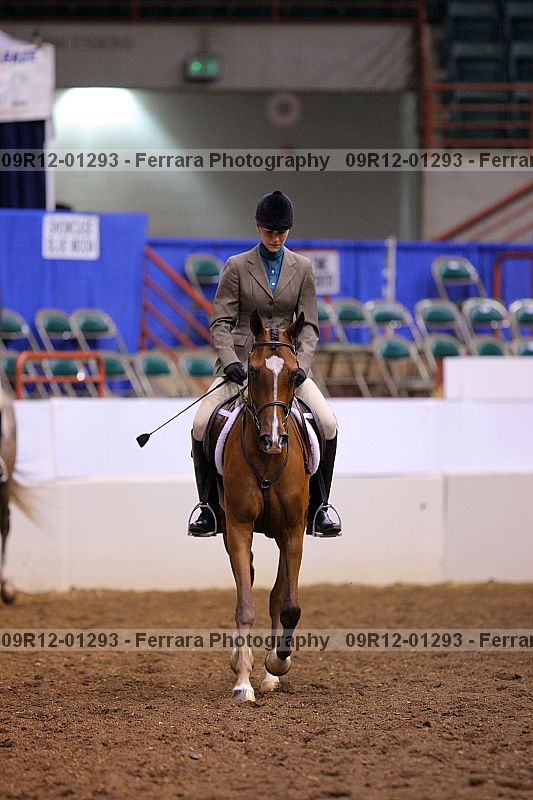 Proof 09r12-01293
