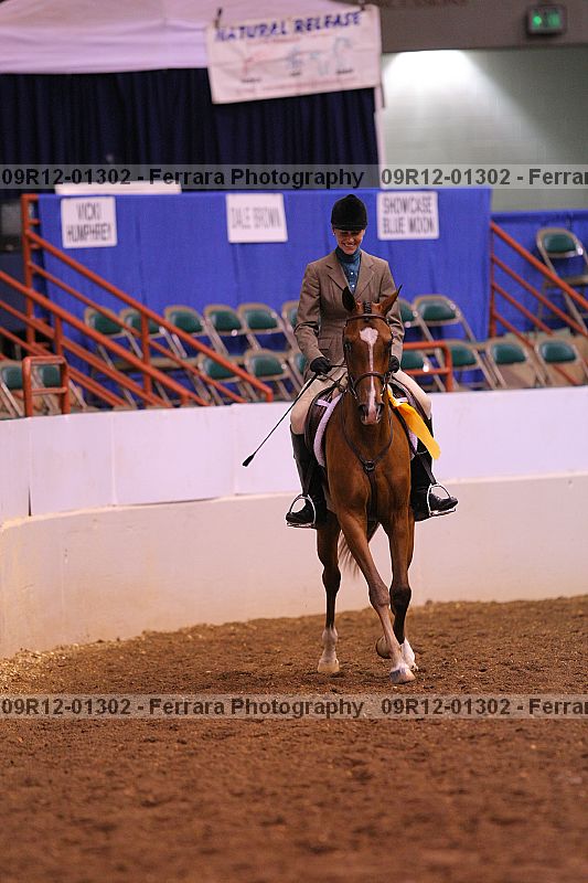 Proof 09r12-01302