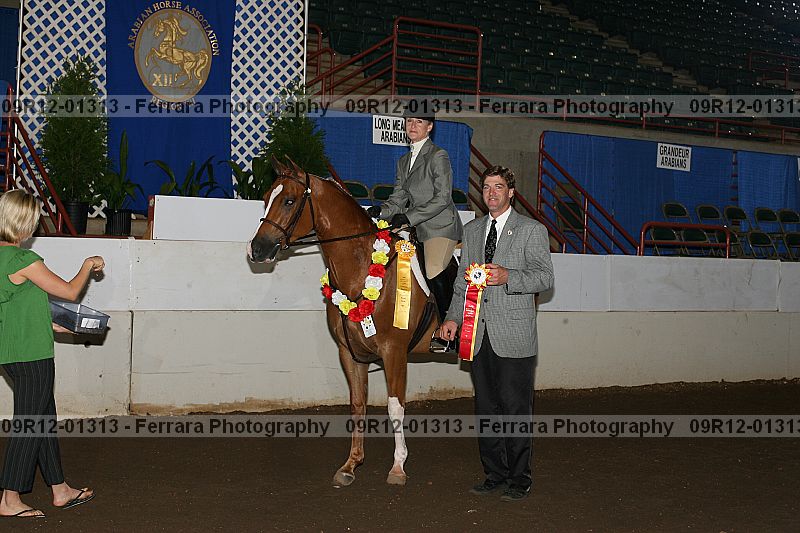 Proof 09r12-01313