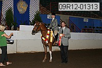 09r12-01313 proof