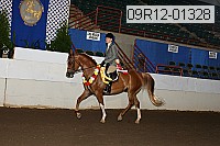 09r12-01328 proof
