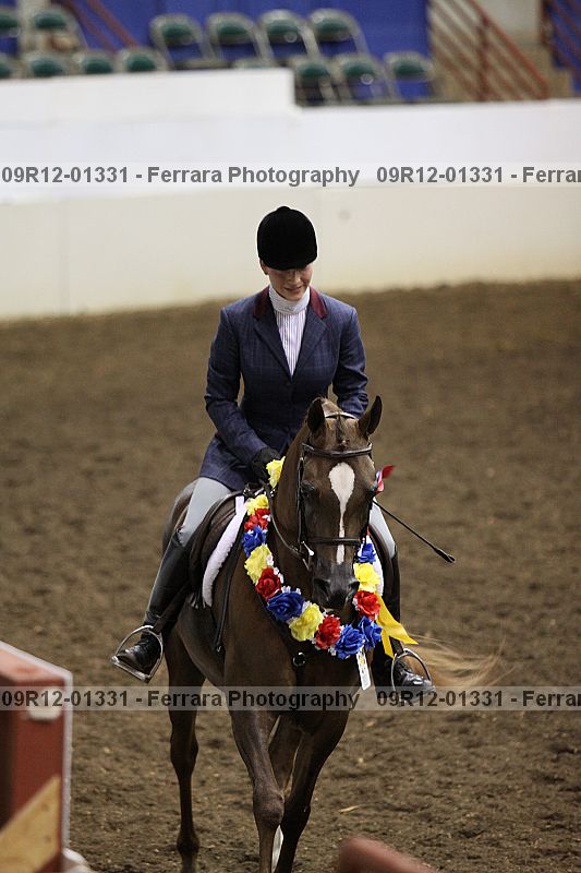 Proof 09r12-01331