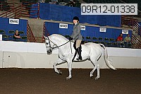 09r12-01338 proof