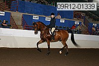 09r12-01339 proof