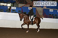 09r12-01340 proof
