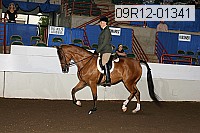 09r12-01341 proof