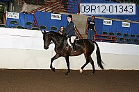 09r12-01343 proof