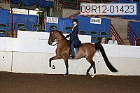 09r12-01423 proof