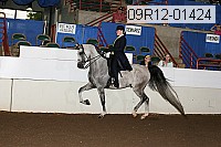 09r12-01424 proof