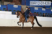 09r12-01426 proof