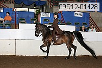 09r12-01428 proof