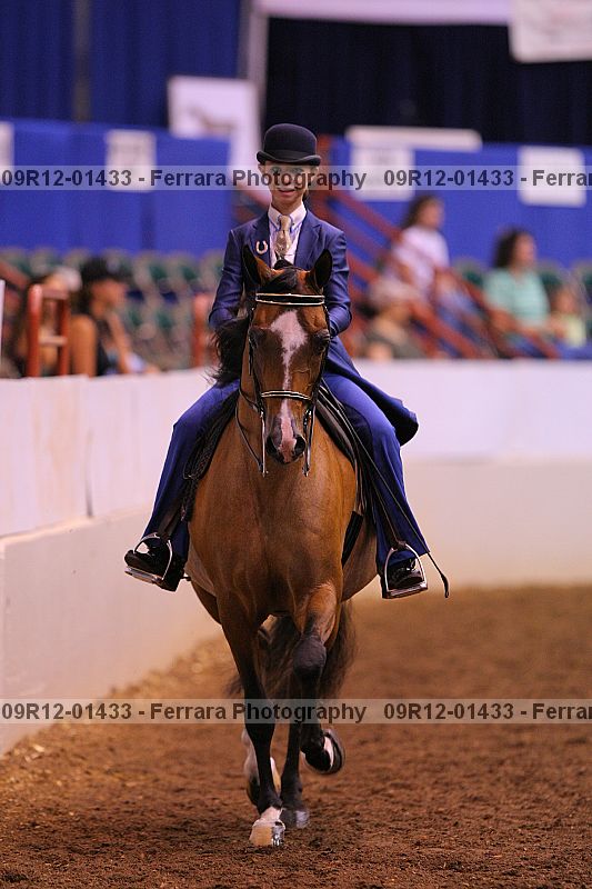 Proof 09r12-01433