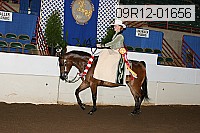 09r12-01656 proof