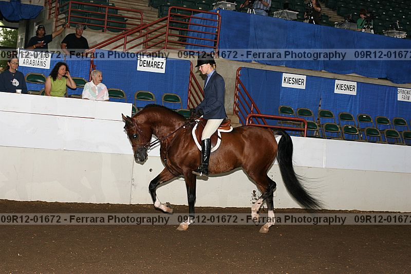 Proof 09r12-01672