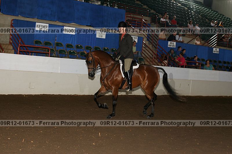 Proof 09r12-01673