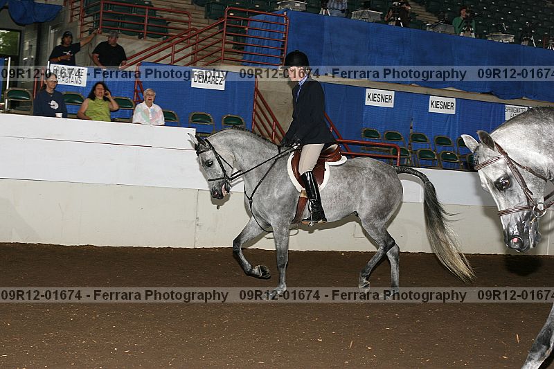 Proof 09r12-01674