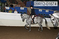 09r12-01674 proof