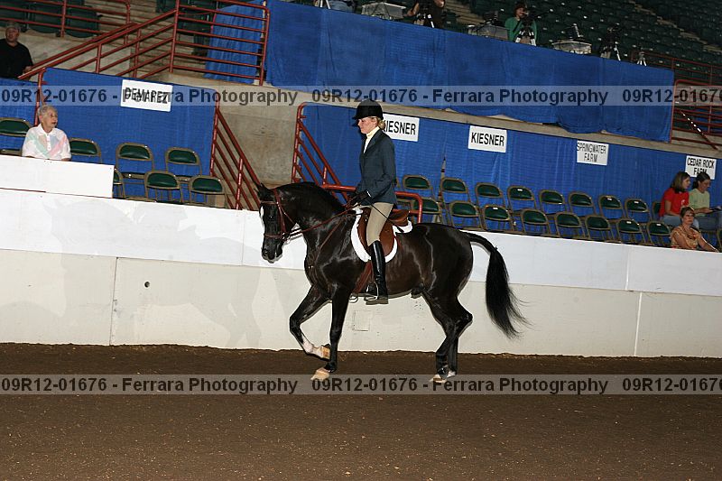 Proof 09r12-01676